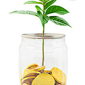 Business growth concept. Plant and Gold coin in bottle isolated on white background, Save clipping path.